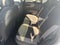 2026 Ford Bronco Sport Big Bend AWD 4dr SUV